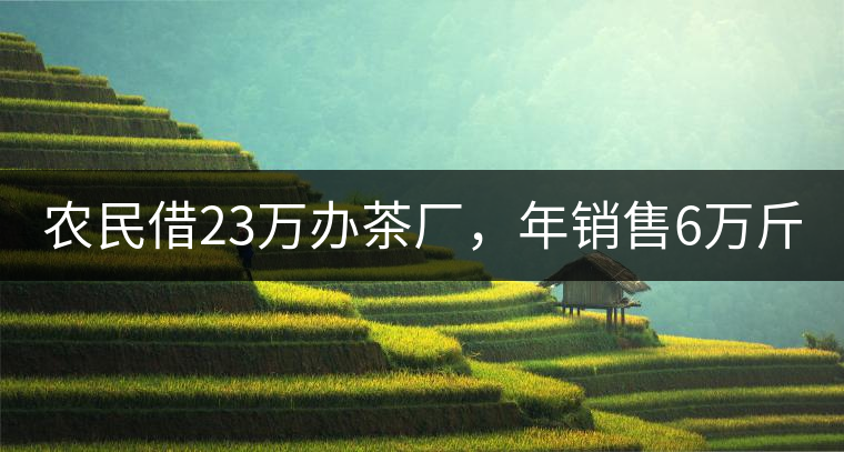農(nóng)民借23萬(wàn)辦茶廠，年銷(xiāo)售6萬(wàn)斤，每天休息僅20分鐘!農(nóng)民借23萬(wàn)辦茶廠，年銷(xiāo)售6萬(wàn)斤，每天休息僅20分鐘！