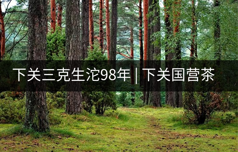 下關(guān)三克生沱98年 | 下關(guān)國營茶廠出口料，干倉儲存，...下關(guān)三克生沱98年 | 下關(guān)國營茶廠出口料，干倉儲存，19年老茶！