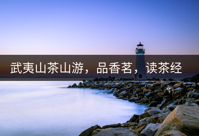 武夷山茶山游，品香茗，讀茶經(jīng)，賞茶景，學茶歷史!武夷山茶山游，品香茗，讀茶經(jīng)，賞茶景，學茶歷史！