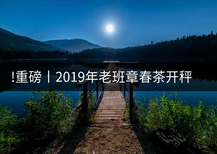 !重磅丨2019年老班章春茶開(kāi)秤，一筆定價(jià)？如此出人意料！
