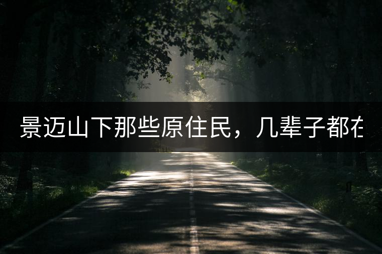 景邁山下那些原住民，幾輩子都在采茶、制茶，才有最...景邁山下那些原住民，幾輩子都在采茶、制茶，才有最好喝的普洱