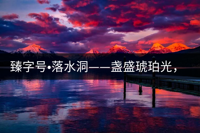 臻字號?落水洞——盞盛琥珀光，柔甜入人心