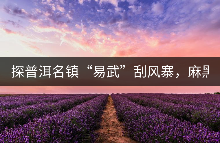 探普洱名鎮(zhèn)“易武”刮風(fēng)寨，麻黑，落水洞!小編親自下...探普洱名鎮(zhèn)“易武”刮風(fēng)寨，麻黑，落水洞！小編親自下手“殺青”