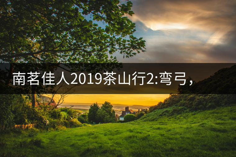南茗佳人2019茶山行2:彎弓，一路艱辛，只為這有生命...南茗佳人2019茶山行2：彎弓，一路艱辛，只為這有生命厚度的茶！