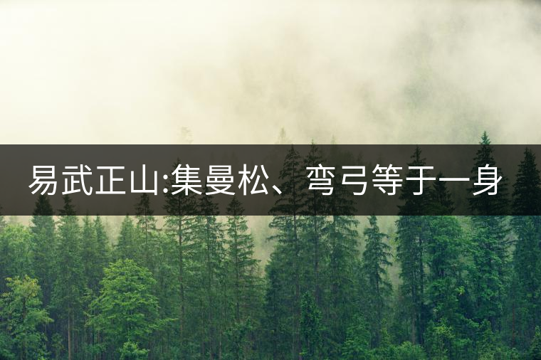 易武正山:集曼松、彎弓等于一身的貴族老黃片，好喝沒(méi)得...易武正山：集曼松、彎弓等于一身的貴族老黃片，好喝沒(méi)得說(shuō)