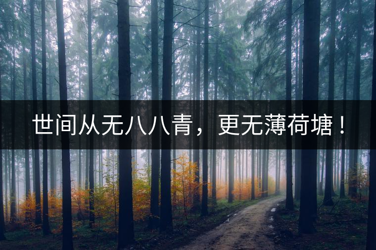 世間從無(wú)八八青，更無(wú)薄荷塘 !