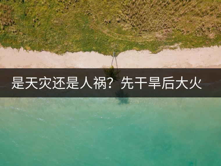 是天災(zāi)還是人禍？先干旱后大火，普洱茶將何去何從？