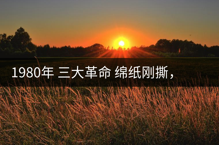 1980年 三大革命 綿紙剛撕，品相極好，整體干凈漂亮1980年 三大革命 綿紙剛撕，品相極好，整體干凈漂亮