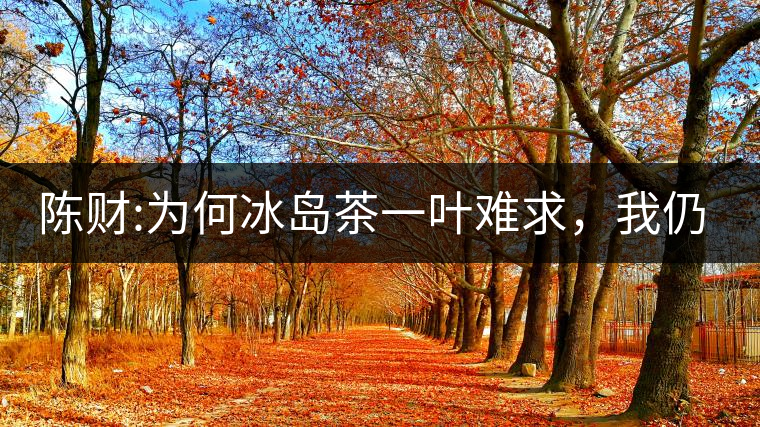 陳財(cái):為何冰島茶一葉難求，我仍然堅(jiān)持