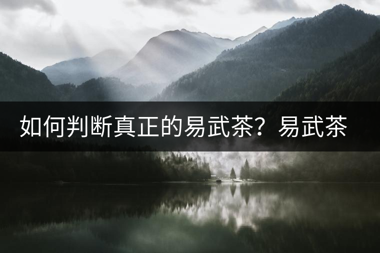 如何判斷真正的易武茶？易武茶有哪些特點(diǎn)？