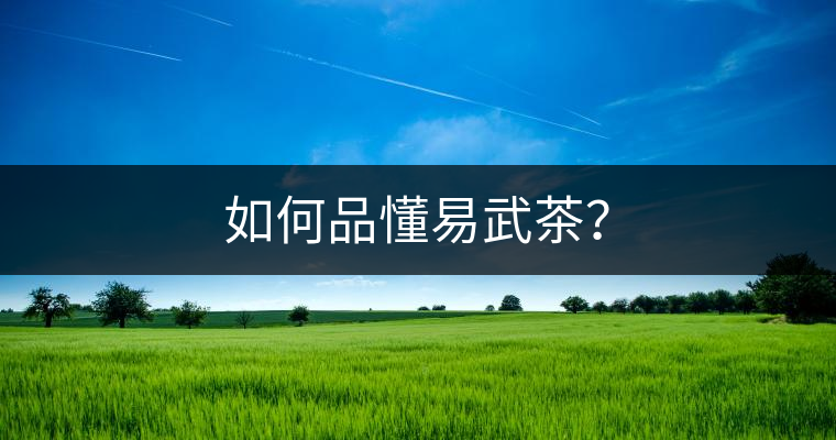 如何品懂易武茶？