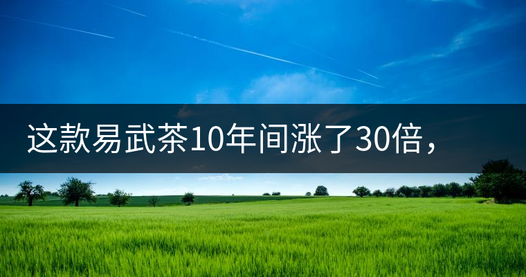 這款易武茶10年間漲了30倍，但已芳蹤罕見(jiàn)