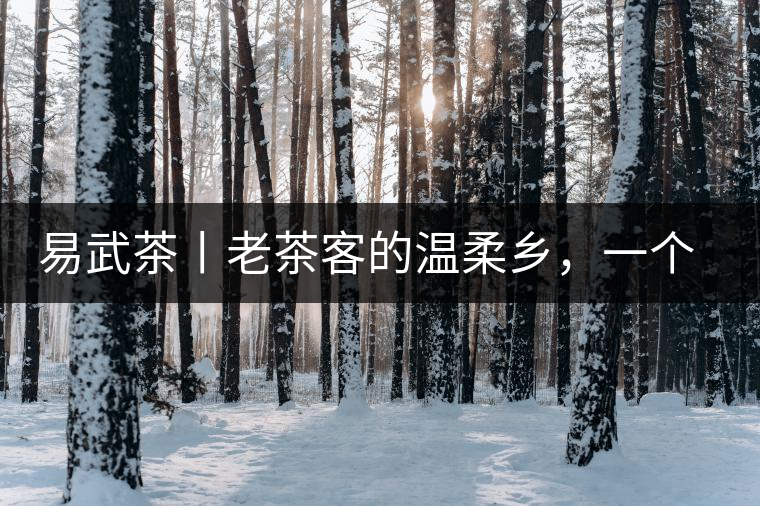 易武茶丨老茶客的溫柔鄉(xiāng)，一個(gè)“柔”字迷倒了多少英雄漢！