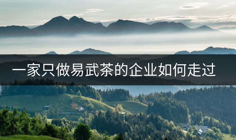 一家只做易武茶的企業(yè)如何走過了十年？