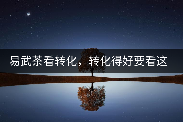 易武茶看轉(zhuǎn)化，轉(zhuǎn)化得好要看這三要素及品牌優(yōu)勢！