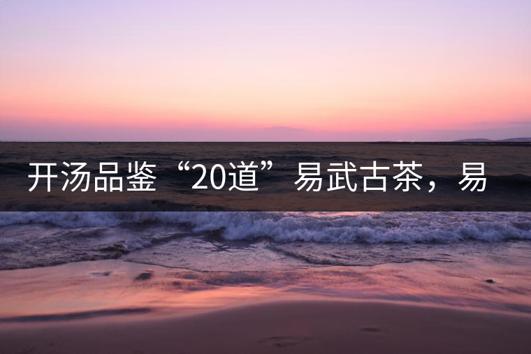 開湯品鑒“20道”易武古茶，易武茶特征你知道多少？