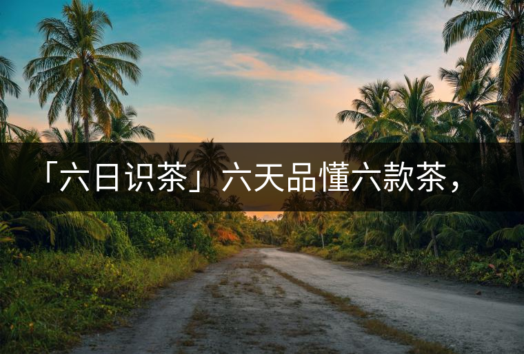 「六日識(shí)茶」六天品懂六款茶，從此愛上山頭茶