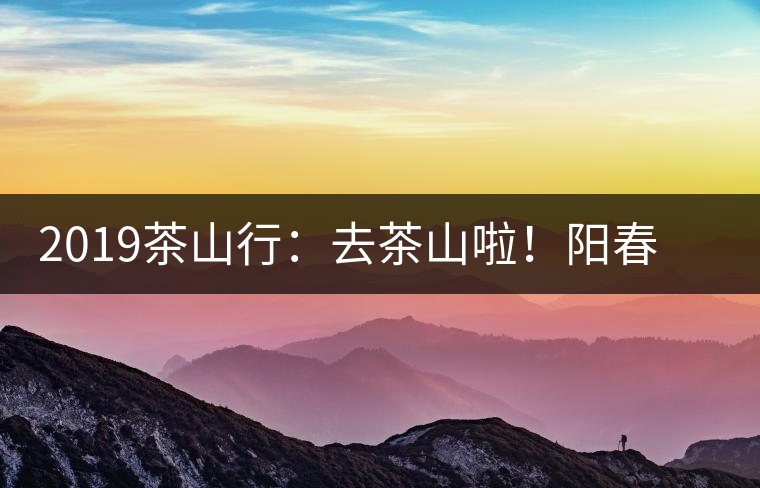 2019茶山行：去茶山啦！陽(yáng)春三月，和南茗佳人一起上山喝好茶！
