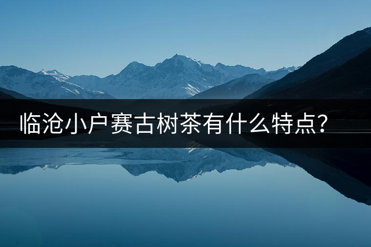 臨滄小戶賽古樹茶有什么特點(diǎn)？因何被稱為“賽冰島”？