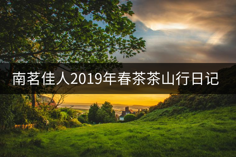 南茗佳人2019年春茶茶山行日記17:小戶賽，賽冰島!南茗佳人2019年春茶茶山行日記17：小戶賽，賽冰島！