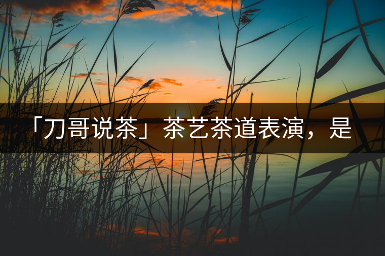 「刀哥說茶」茶藝茶道表演，是裝還是文化？