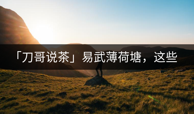 「刀哥說(shuō)茶」易武薄荷塘，這些冷知識(shí)你該知道