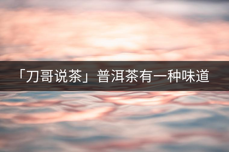 「刀哥說茶」普洱茶有一種味道，只可意會不可言傳