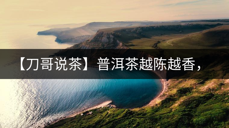 【刀哥說茶】普洱茶越陳越香，為什么新茶更受歡迎？