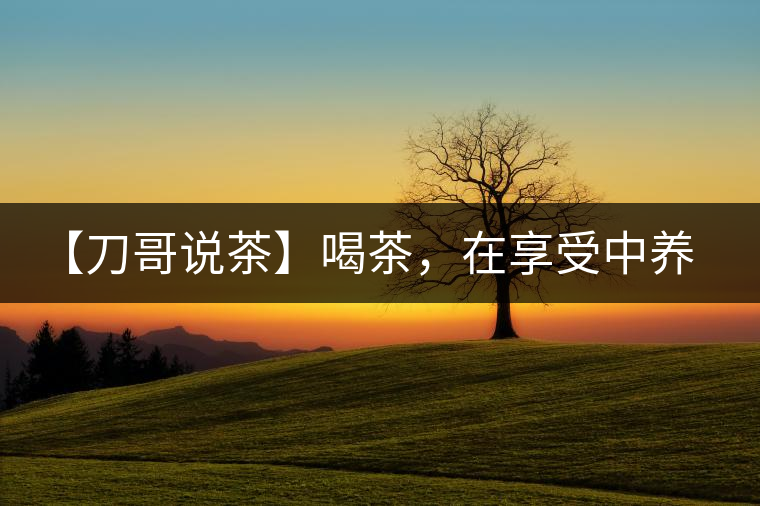 【刀哥說(shuō)茶】喝茶，在享受中養(yǎng)生的最佳選擇