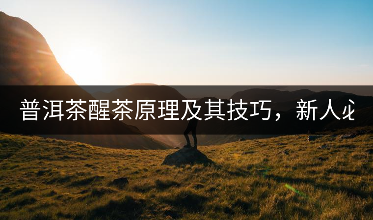 普洱茶醒茶原理及其技巧，新人必備！