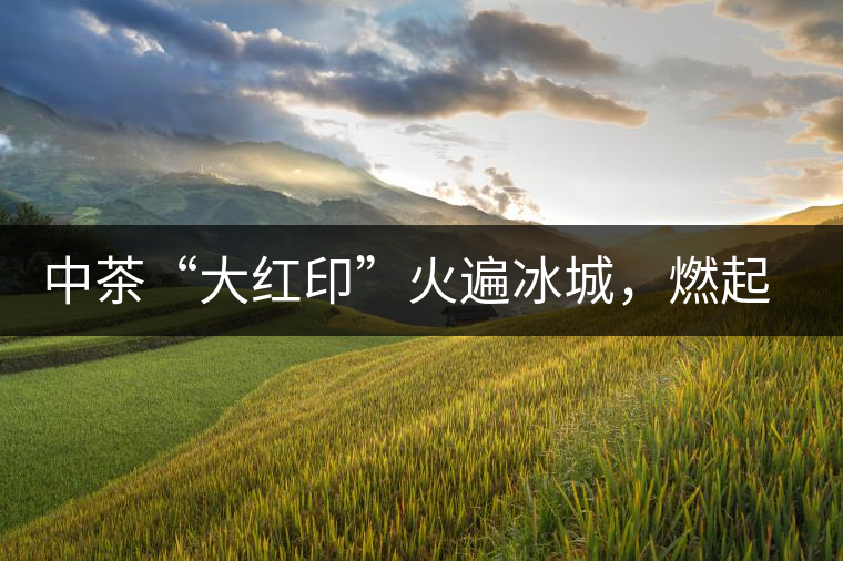中茶“大紅印”火遍冰城，燃起普洱茶新味蕾
