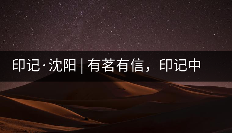 印記·沈陽 | 有茗有信，印記中茶，中茶普洱亮相沈陽茶博會
