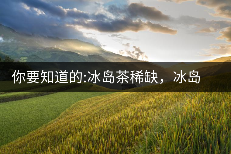 你要知道的:冰島茶稀缺，冰島熟茶更來(lái)之不易你要知道的：冰島茶稀缺，冰島熟茶更來(lái)之不易