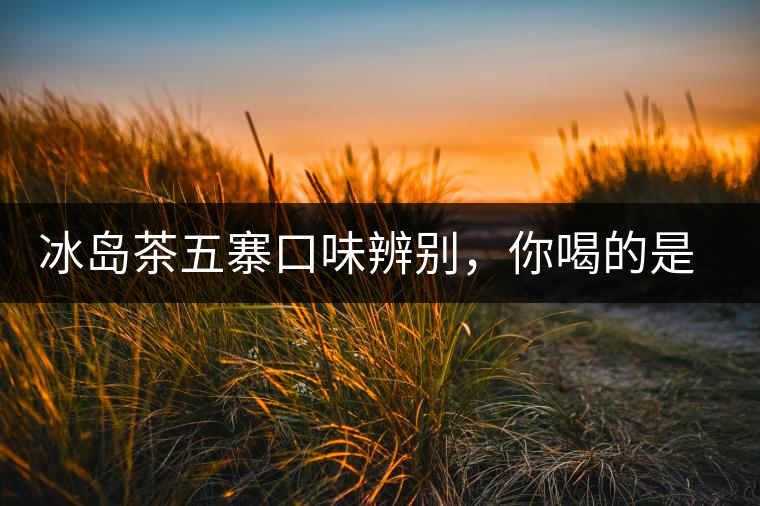 冰島茶五寨口味辨別，你喝的是正宗冰島茶嗎?冰島茶五寨口味辨別，你喝的是正宗冰島茶嗎？