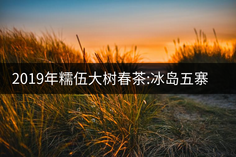 2019年糯伍大樹春茶:冰島五寨甜柔口感的代表，售價(jià)不...2019年糯伍大樹春茶：冰島五寨甜柔口感的代表，售價(jià)不到500