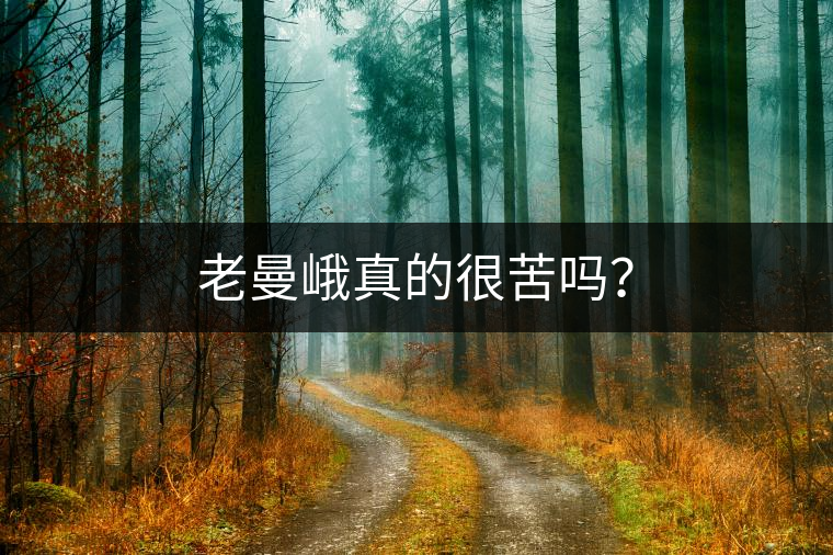 老曼峨真的很苦嗎？