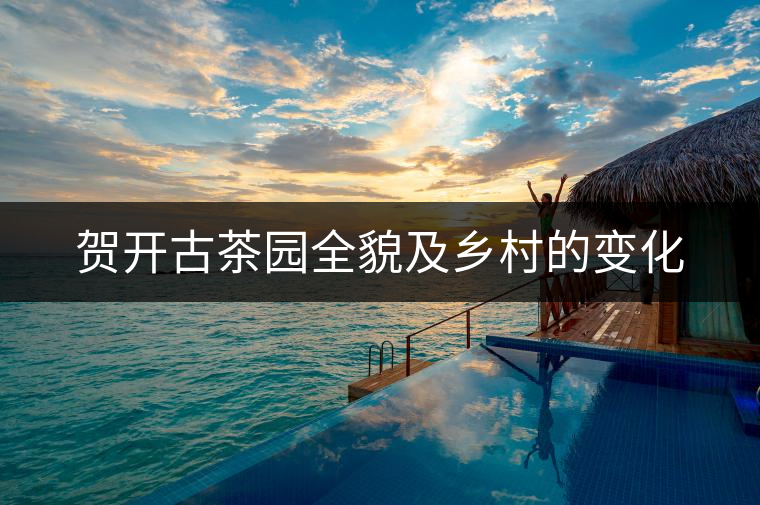 賀開古茶園全貌及鄉(xiāng)村的變化