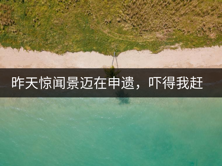 昨天驚聞景邁在申遺，嚇得我趕緊拿出景邁茶……昨天驚聞景邁在申遺，嚇得我趕緊拿出景邁茶……