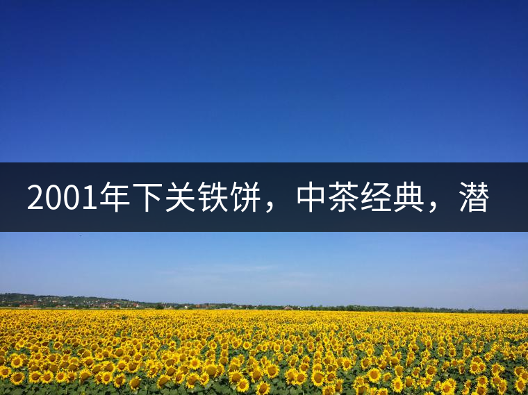 2001年下關(guān)鐵餅，中茶經(jīng)典，潛力可期!