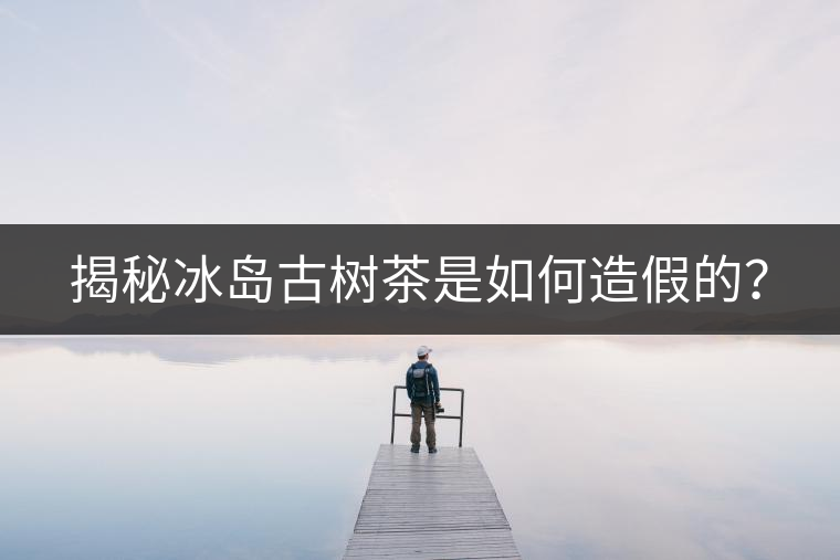 揭秘冰島古樹(shù)茶是如何造假的？