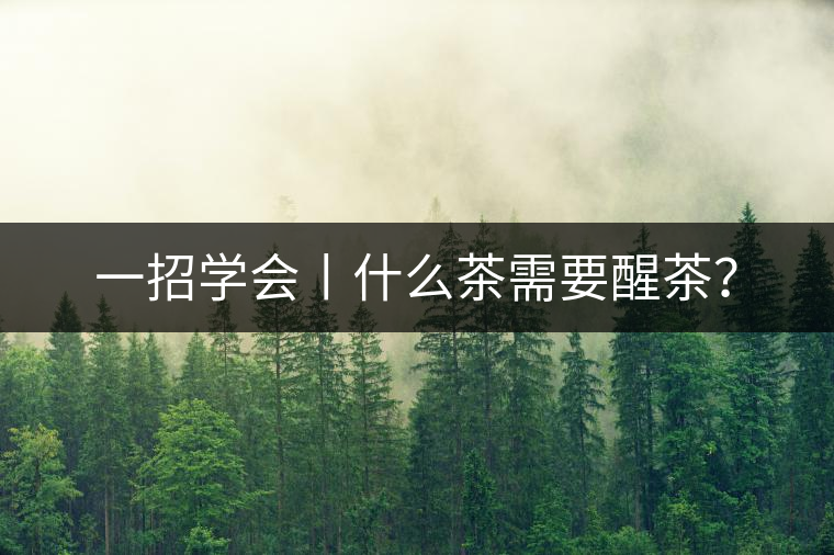 一招學(xué)會丨什么茶需要醒茶？