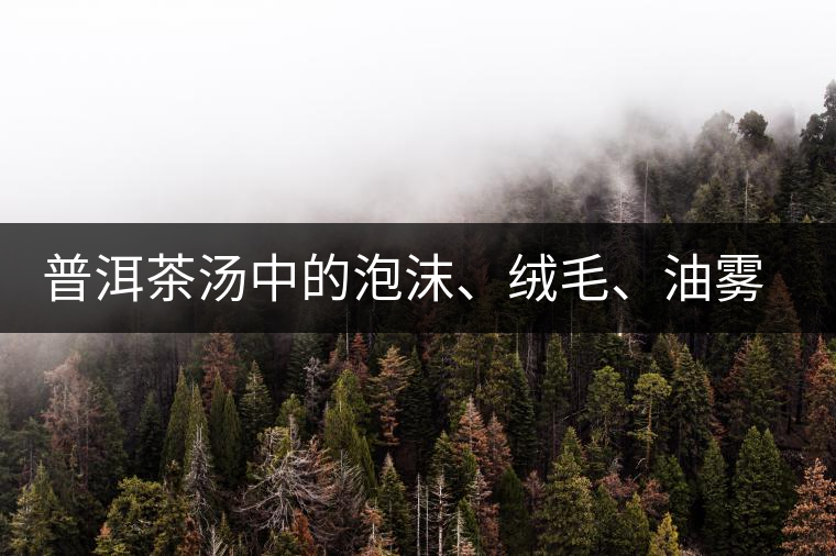 普洱茶湯中的泡沫、絨毛、油霧、絮狀物……原來是這些東西！