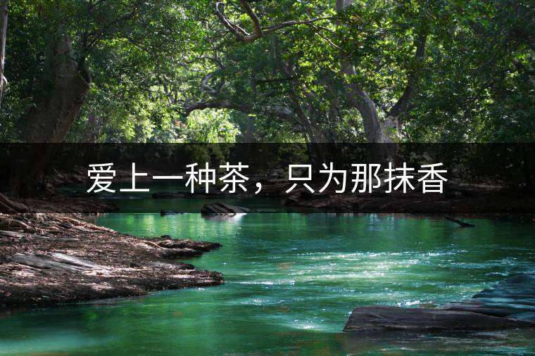 愛上一種茶，只為那抹香