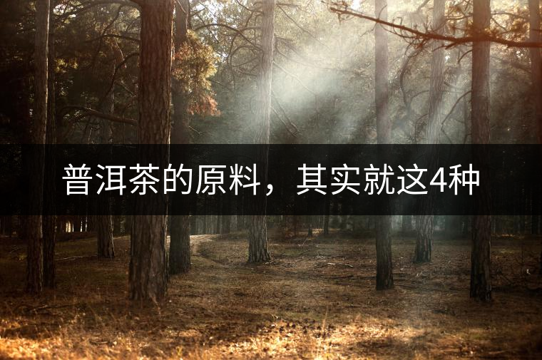 普洱茶的原料，其實(shí)就這4種