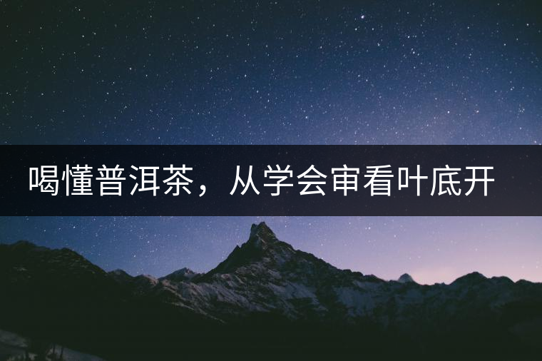 喝懂普洱茶，從學會審看葉底開始