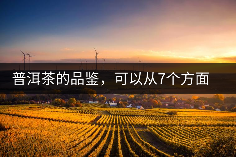 普洱茶的品鑒，可以從7個方面著手