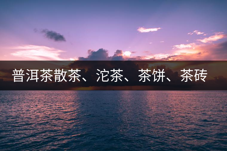 普洱茶散茶、沱茶、茶餅、茶磚哪種更好？