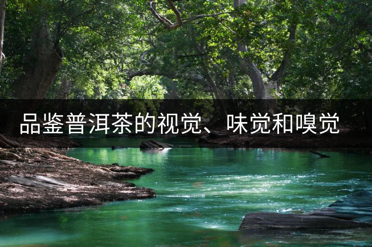 品鑒普洱茶的視覺(jué)、味覺(jué)和嗅覺(jué)指標(biāo)