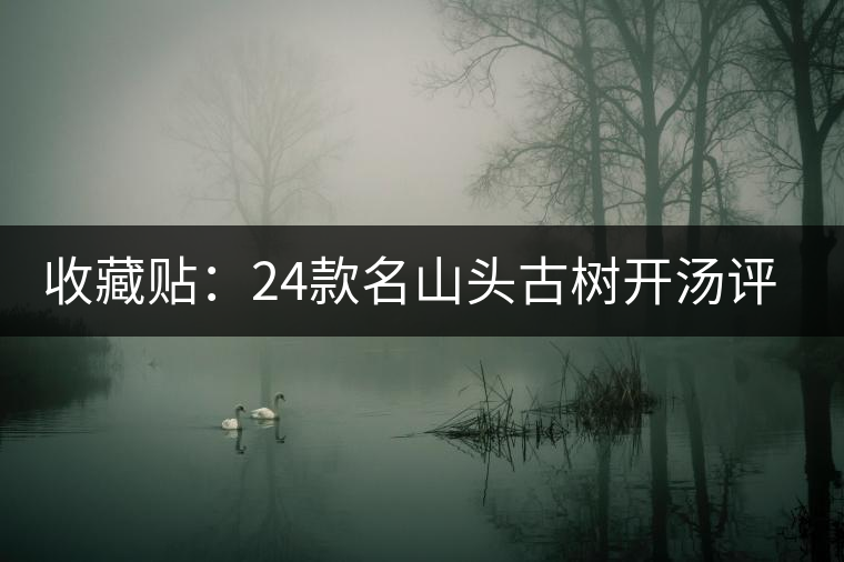 收藏貼:24款名山頭古樹開湯評(píng)測(cè) 收藏貼:24款名山頭古樹開湯評(píng)測(cè)