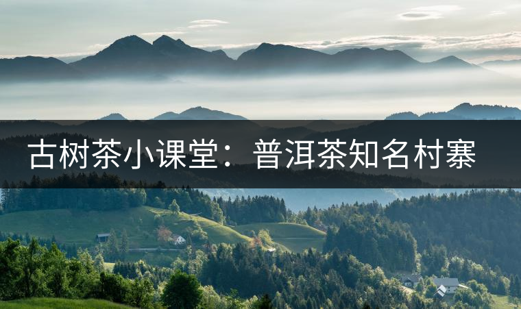 古樹茶小課堂：普洱茶知名村寨的生態(tài)環(huán)境如何？